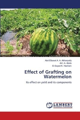 bokomslag Effect of Grafting on Watermelon