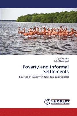 bokomslag Poverty and Informal Settlements