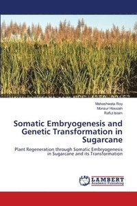 bokomslag Somatic Embryogenesis and Genetic Transformation in Sugarcane