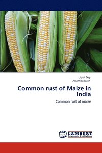 bokomslag Common rust of Maize in India