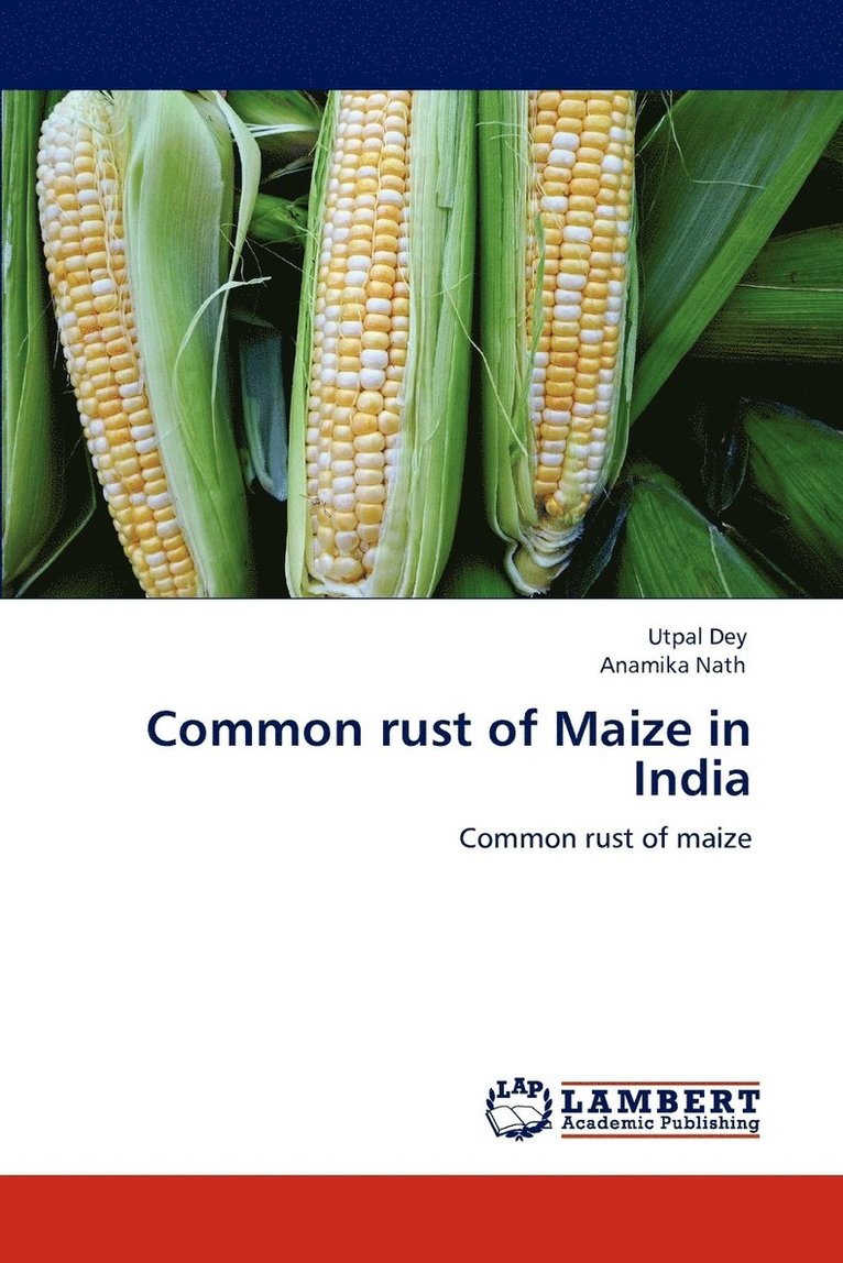 Common rust of Maize in India 1