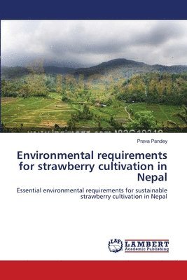 Environmental requirements for strawberry cultivation in Nepal 1