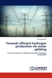 bokomslag Towards efficient hydrogen production via water splitting