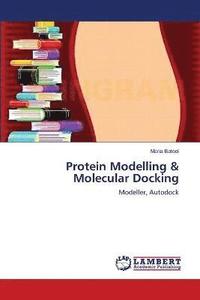 bokomslag Protein Modelling & Molecular Docking