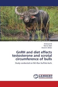 bokomslag GnRH and diet effects testosterone and scrotal circumference of bulls