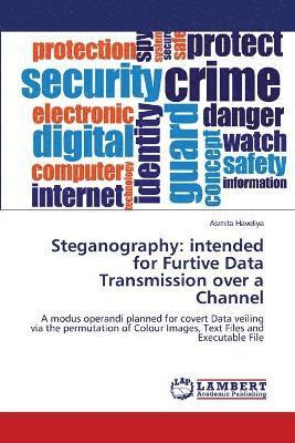 bokomslag Steganography