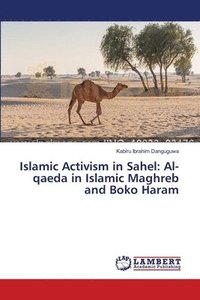 bokomslag Islamic Activism in Sahel