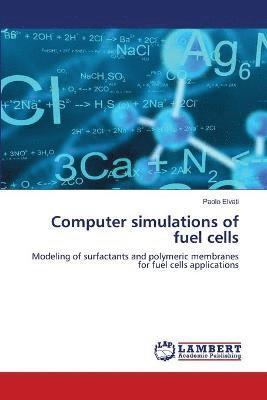 Computer simulations of fuel cells 1