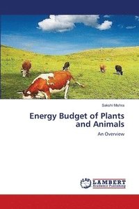 bokomslag Energy Budget of Plants and Animals