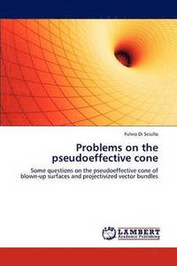 bokomslag Problems on the Pseudoeffective Cone