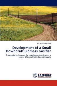 bokomslag Development of a Small Downdraft Biomass Gasifier