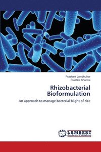 bokomslag Rhizobacterial Bioformulation