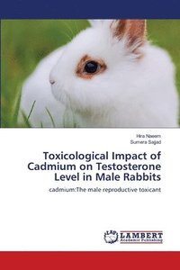 bokomslag Toxicological Impact of Cadmium on Testosterone Level in Male Rabbits