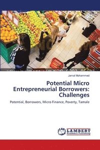 bokomslag Potential Micro Entrepreneurial Borrowers