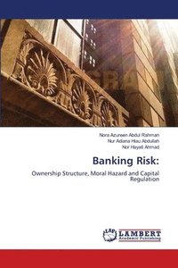 bokomslag Banking Risk