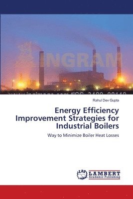 Energy Efficiency Improvement Strategies for Industrial Boilers 1