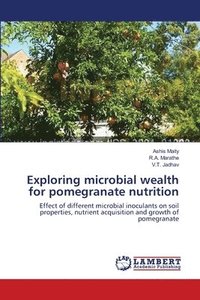 bokomslag Exploring microbial wealth for pomegranate nutrition