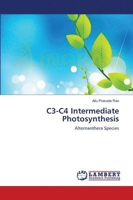 bokomslag C3-C4 Intermediate Photosynthesis