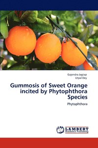bokomslag Gummosis of Sweet Orange incited by Phytophthora Species