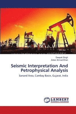 Seismic Interpretation And Petrophysical Analysis 1