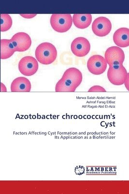 bokomslag Azotobacter chroococcum's Cyst