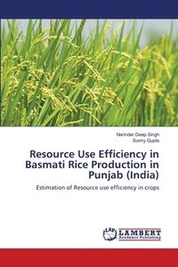 bokomslag Resource Use Efficiency in Basmati Rice Production in Punjab (India)