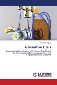 bokomslag Alternative Fuels
