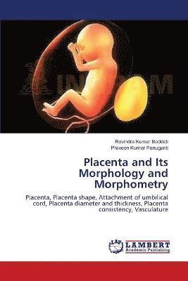 Placenta and Its Morphology and Morphometry 1