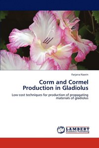 bokomslag Corm and Cormel Production in Gladiolus