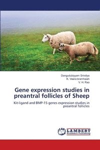 bokomslag Gene expression studies in preantral follicles of Sheep