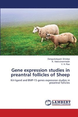 Gene expression studies in preantral follicles of Sheep 1