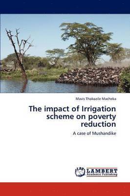 The Impact of Irrigation Scheme on Poverty Reduction 1