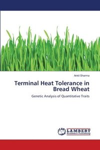 bokomslag Terminal Heat Tolerance in Bread Wheat