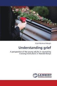 bokomslag Understanding grief