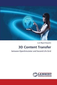 bokomslag 3D Content Transfer