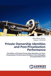 bokomslag Private Ownership Identities and Post-Privatization Performance