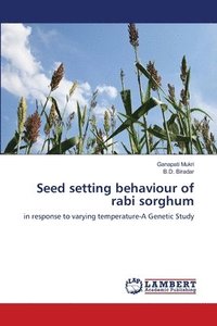 bokomslag Seed setting behaviour of rabi sorghum