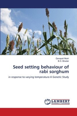 Seed setting behaviour of rabi sorghum 1