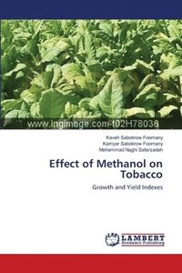 bokomslag Effect of Methanol on Tobacco