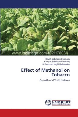 Effect of Methanol on Tobacco 1