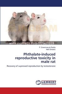 bokomslag Phthalate-induced reproductive toxicity in male rat