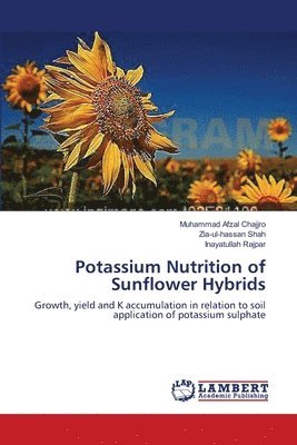 bokomslag Potassium Nutrition of Sunflower Hybrids