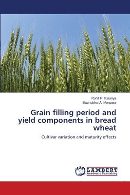 Grain filling period and yield components in bread wheat 1