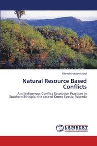 bokomslag Natural Resource Based Conflicts