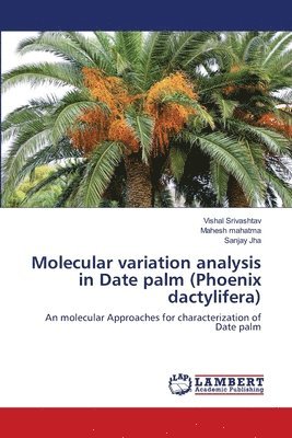 Molecular variation analysis in Date palm (Phoenix dactylifera) 1