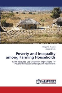 bokomslag Poverty and Inequality among Farming Households