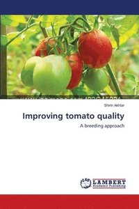 bokomslag Improving tomato quality
