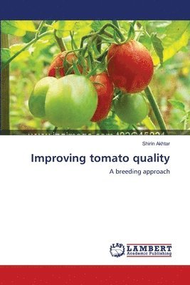 Improving tomato quality 1