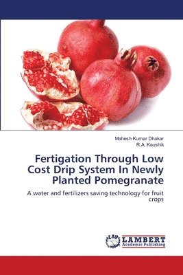 Fertigation Through Low Cost Drip System In Newly Planted Pomegranate 1