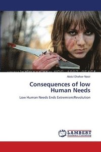 bokomslag Consequences of low Human Needs